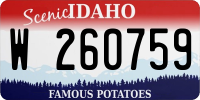 ID license plate W260759
