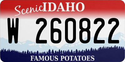 ID license plate W260822
