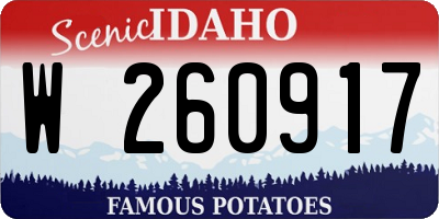 ID license plate W260917