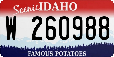 ID license plate W260988