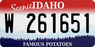 ID license plate W261651