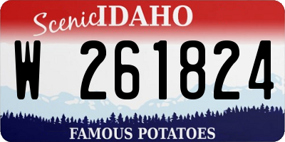 ID license plate W261824