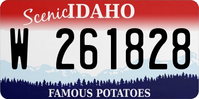 ID license plate W261828