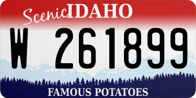 ID license plate W261899