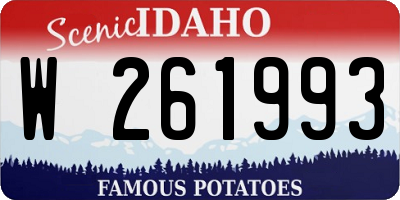 ID license plate W261993