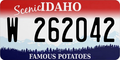 ID license plate W262042