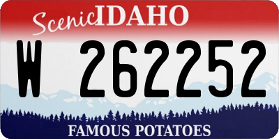 ID license plate W262252