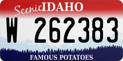 ID license plate W262383