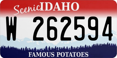 ID license plate W262594