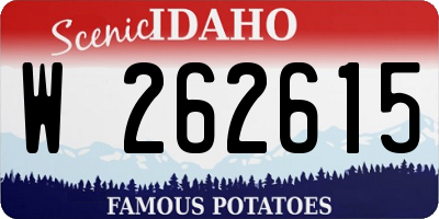 ID license plate W262615