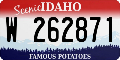 ID license plate W262871