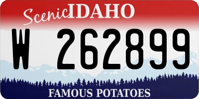 ID license plate W262899
