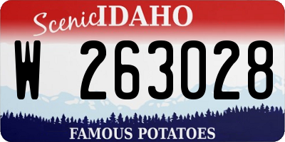 ID license plate W263028