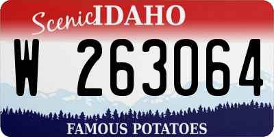 ID license plate W263064