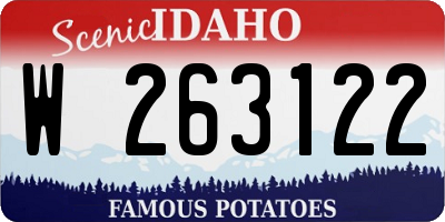 ID license plate W263122