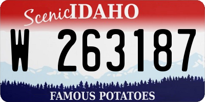 ID license plate W263187