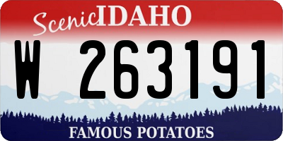 ID license plate W263191