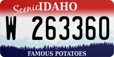 ID license plate W263360