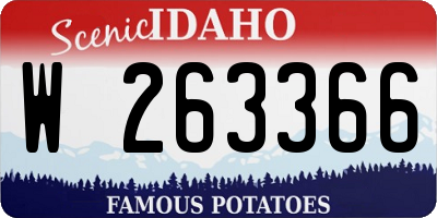 ID license plate W263366