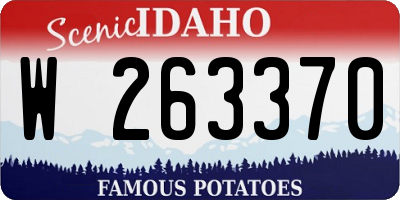 ID license plate W263370