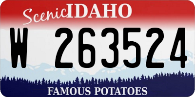 ID license plate W263524