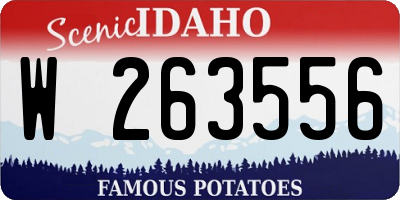 ID license plate W263556