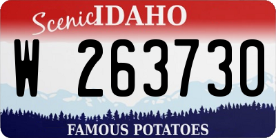 ID license plate W263730