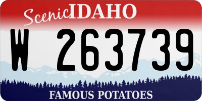 ID license plate W263739