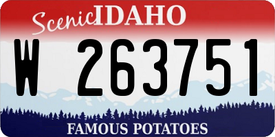 ID license plate W263751