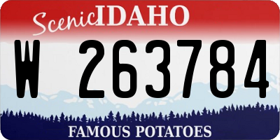 ID license plate W263784