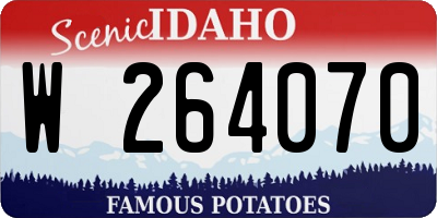 ID license plate W264070