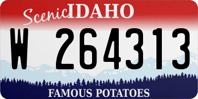 ID license plate W264313