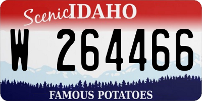 ID license plate W264466