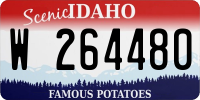 ID license plate W264480