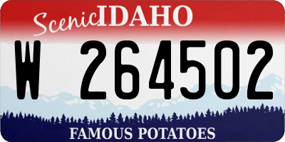 ID license plate W264502