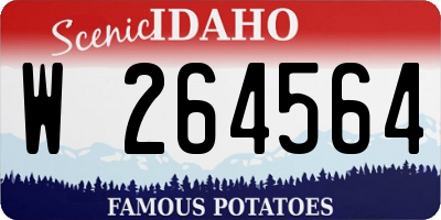 ID license plate W264564