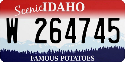 ID license plate W264745