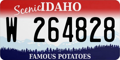 ID license plate W264828