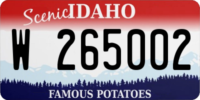 ID license plate W265002