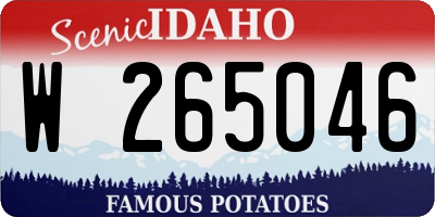 ID license plate W265046