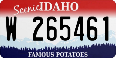 ID license plate W265461