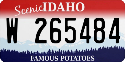 ID license plate W265484