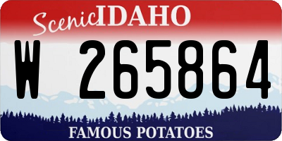 ID license plate W265864
