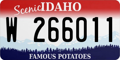 ID license plate W266011
