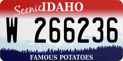 ID license plate W266236