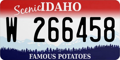 ID license plate W266458