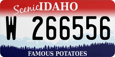 ID license plate W266556
