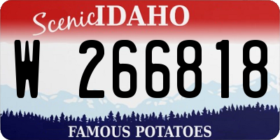ID license plate W266818