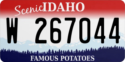 ID license plate W267044