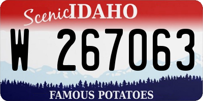 ID license plate W267063